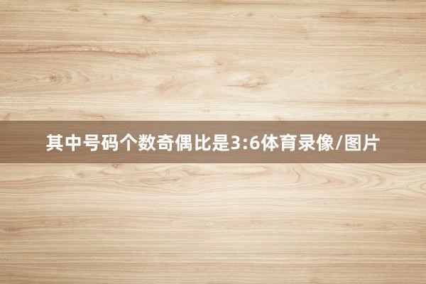 其中号码个数奇偶比是3:6体育录像/图片