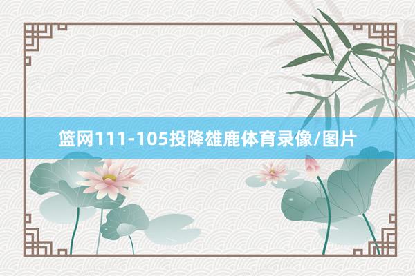 篮网111-105投降雄鹿体育录像/图片