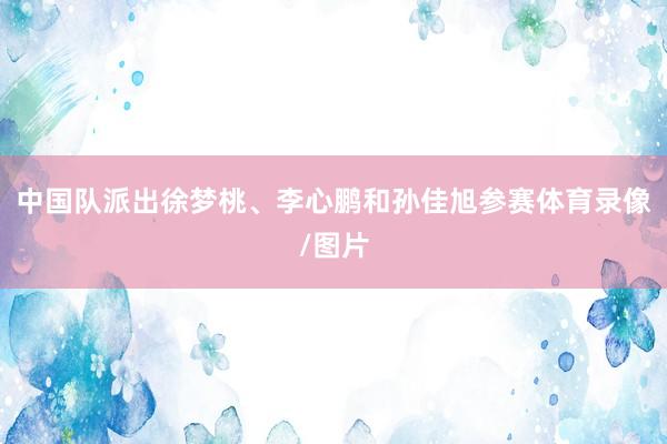中国队派出徐梦桃、李心鹏和孙佳旭参赛体育录像/图片