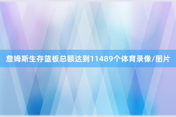 詹姆斯生存篮板总额达到11489个体育录像/图片