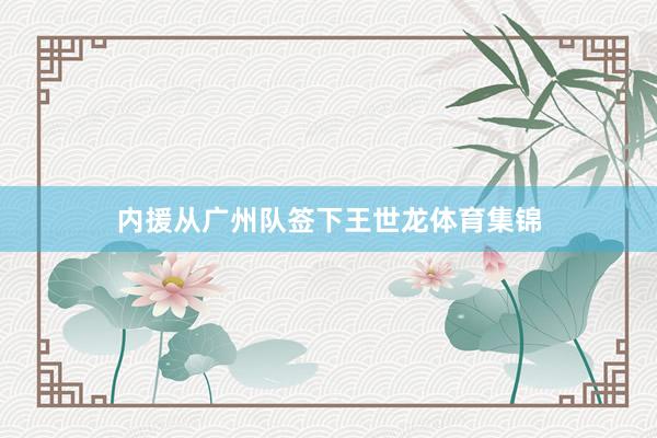 内援从广州队签下王世龙体育集锦