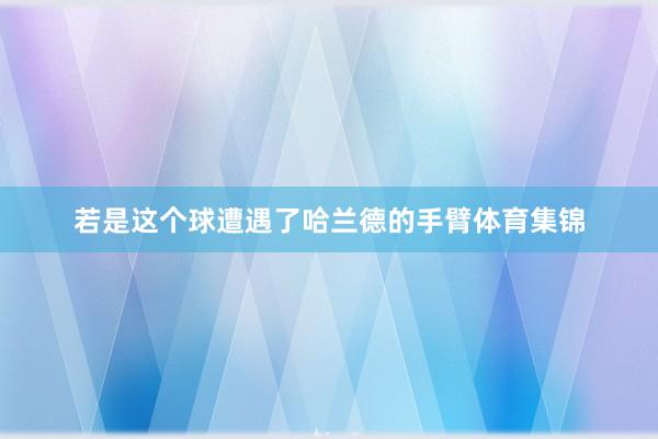 若是这个球遭遇了哈兰德的手臂体育集锦