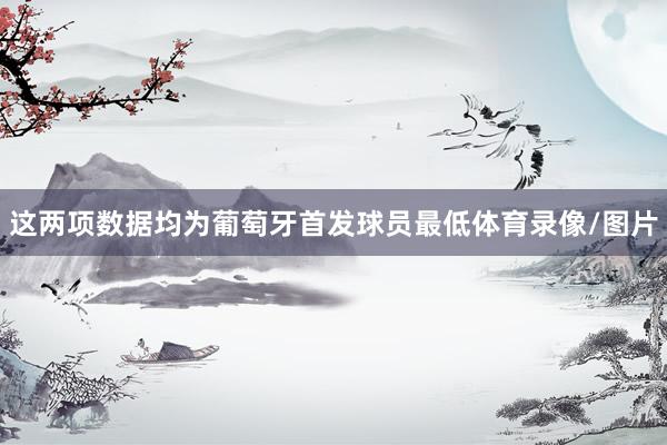 这两项数据均为葡萄牙首发球员最低体育录像/图片