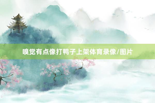 嗅觉有点像打鸭子上架体育录像/图片