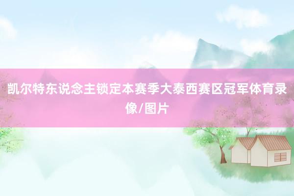 凯尔特东说念主锁定本赛季大泰西赛区冠军体育录像/图片