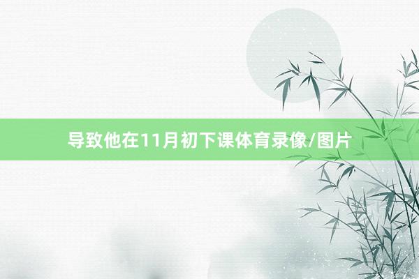 导致他在11月初下课体育录像/图片