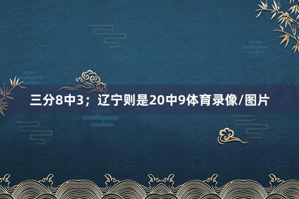 三分8中3；辽宁则是20中9体育录像/图片