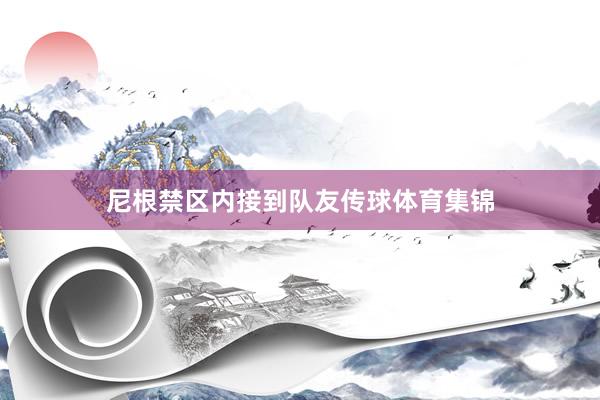 尼根禁区内接到队友传球体育集锦