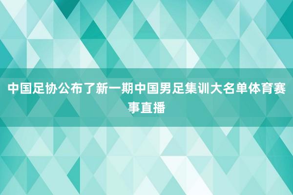 中国足协公布了新一期中国男足集训大名单体育赛事直播