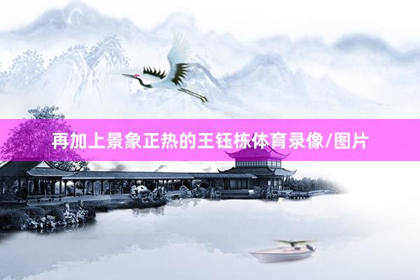 再加上景象正热的王钰栋体育录像/图片