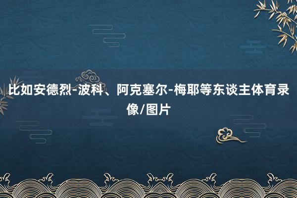 比如安德烈-波科、阿克塞尔-梅耶等东谈主体育录像/图片