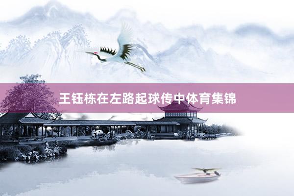 王钰栋在左路起球传中体育集锦
