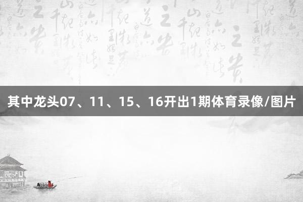 其中龙头07、11、15、16开出1期体育录像/图片