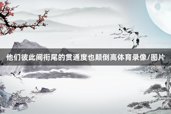 他们彼此间衔尾的贯通度也颠倒高体育录像/图片