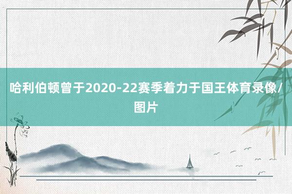 哈利伯顿曾于2020-22赛季着力于国王体育录像/图片