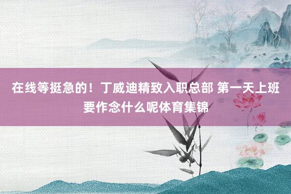 在线等挺急的！丁威迪精致入职总部 第一天上班要作念什么呢体育集锦