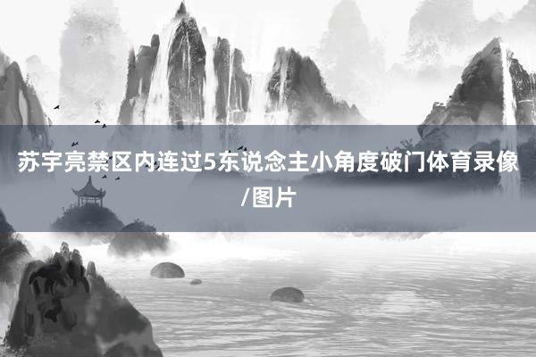 苏宇亮禁区内连过5东说念主小角度破门体育录像/图片