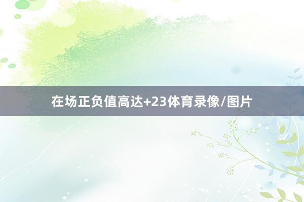 在场正负值高达+23体育录像/图片