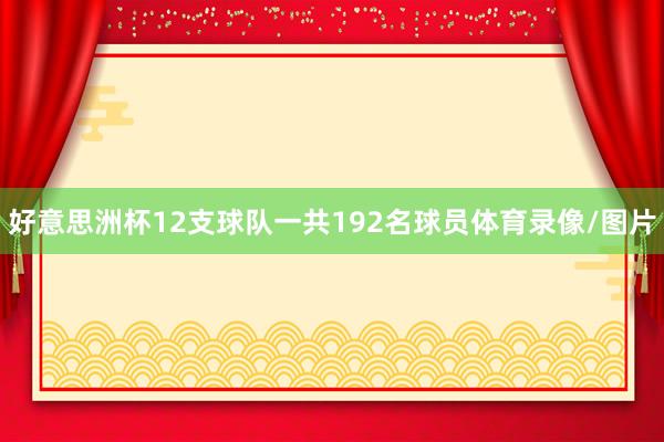 好意思洲杯12支球队一共192名球员体育录像/图片