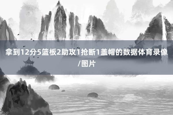 拿到12分5篮板2助攻1抢断1盖帽的数据体育录像/图片