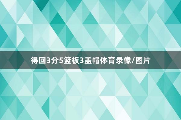 得回3分5篮板3盖帽体育录像/图片