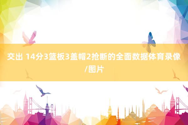 交出 14分3篮板3盖帽2抢断的全面数据体育录像/图片