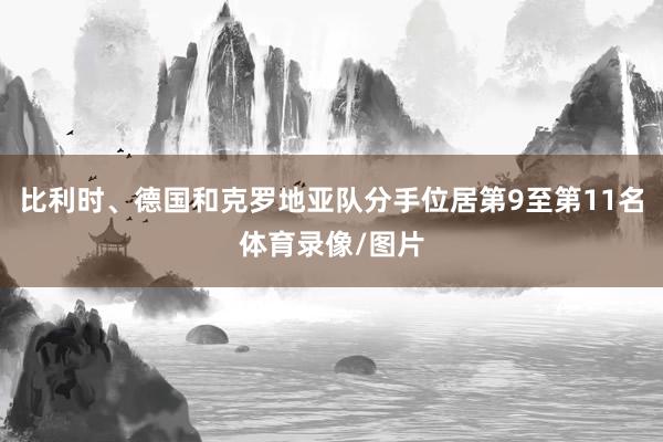 比利时、德国和克罗地亚队分手位居第9至第11名体育录像/图片