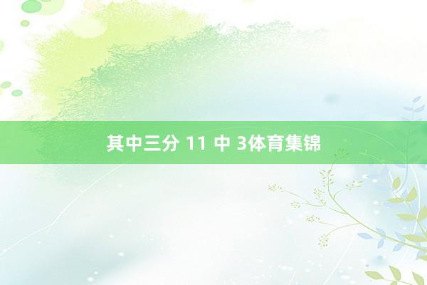 其中三分 11 中 3体育集锦
