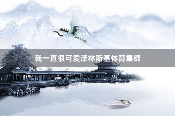 我一直很可爱泽林斯基体育集锦
