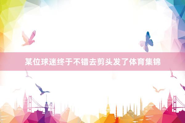某位球迷终于不错去剪头发了体育集锦