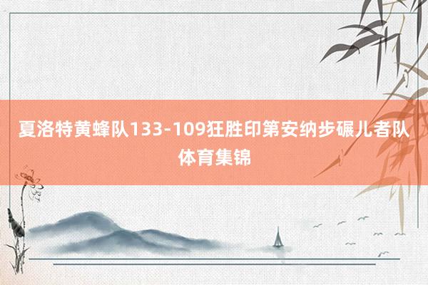 夏洛特黄蜂队133-109狂胜印第安纳步碾儿者队体育集锦
