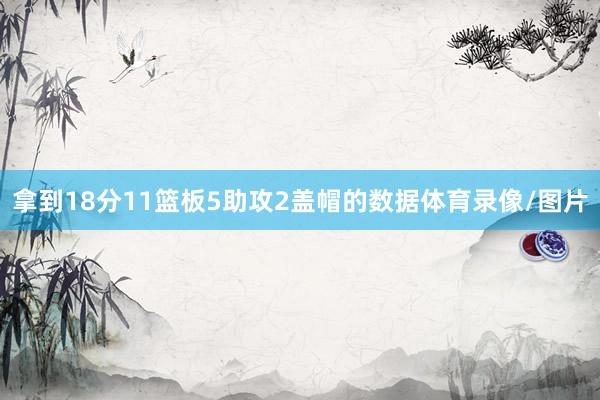 拿到18分11篮板5助攻2盖帽的数据体育录像/图片