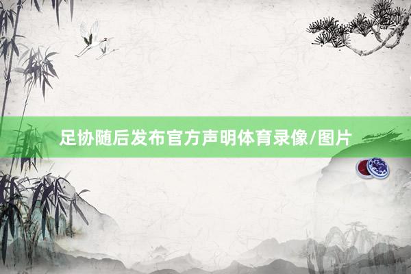 足协随后发布官方声明体育录像/图片