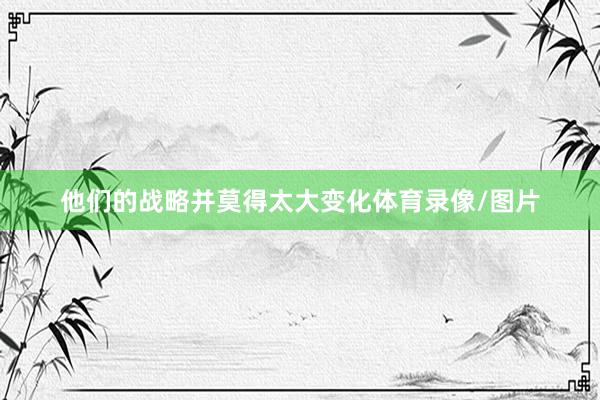 他们的战略并莫得太大变化体育录像/图片