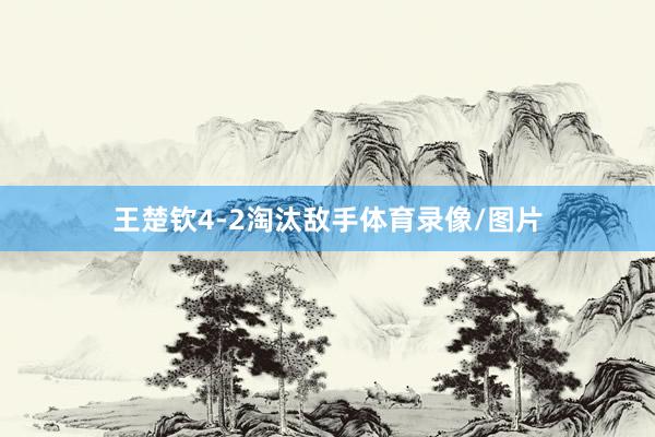 王楚钦4-2淘汰敌手体育录像/图片