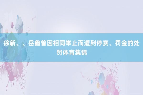 徐新、、岳鑫曾因相同举止而遭到停赛、罚金的处罚体育集锦
