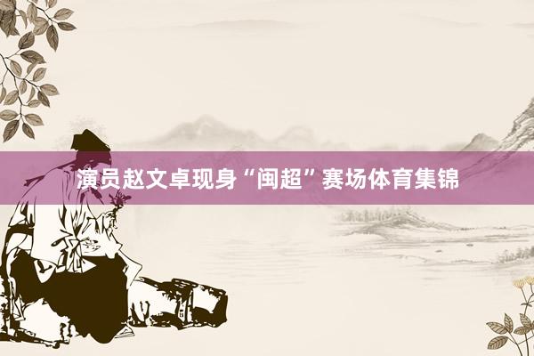 演员赵文卓现身“闽超”赛场体育集锦