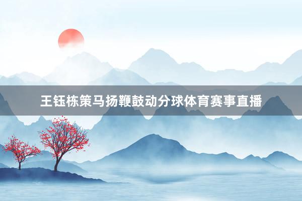 王钰栋策马扬鞭鼓动分球体育赛事直播