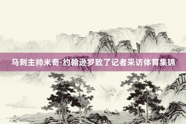 马刺主帅米奇·约翰逊罗致了记者采访体育集锦