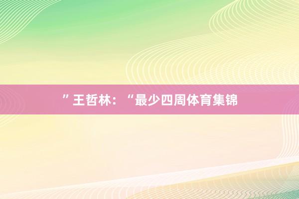 ”王哲林:“最少四周体育集锦