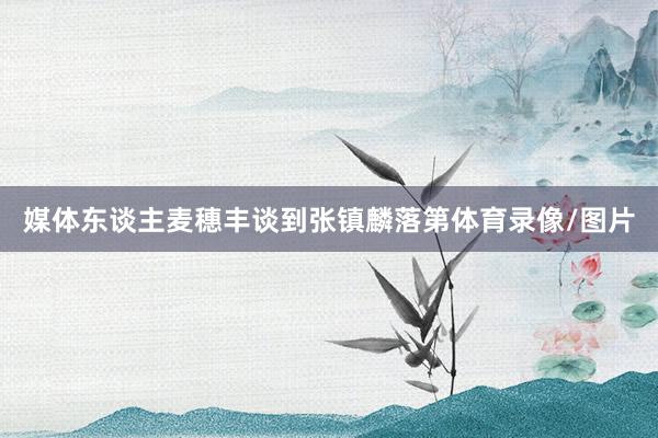 媒体东谈主麦穗丰谈到张镇麟落第体育录像/图片