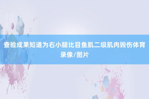 查验成果知道为右小腿比目鱼肌二级肌肉毁伤体育录像/图片