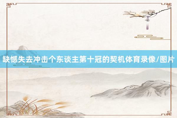 缺憾失去冲击个东谈主第十冠的契机体育录像/图片