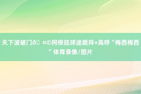 天下波破门🤩阿根廷球迷跪拜+高呼“梅西梅西”体育录像/图片