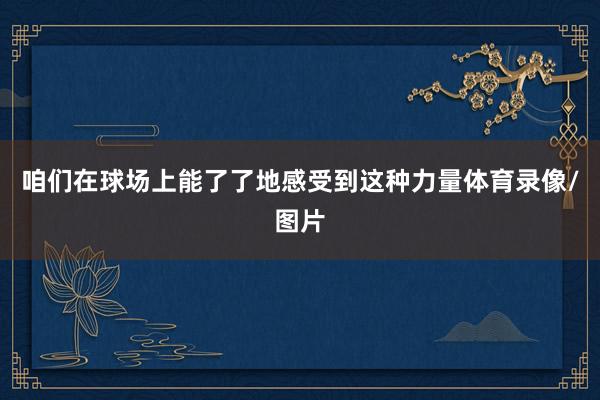 咱们在球场上能了了地感受到这种力量体育录像/图片
